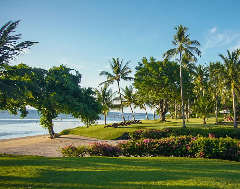 Palm trees and loungers at The Oberoi Beach Resort, Lombok.