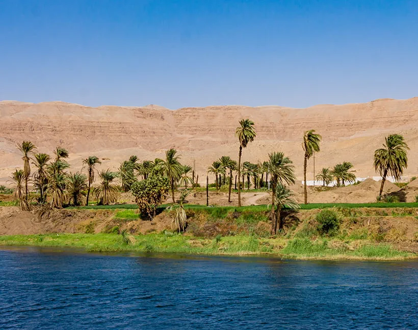 Palm trees by river in desert landscape near The Oberoi Sukhvilas