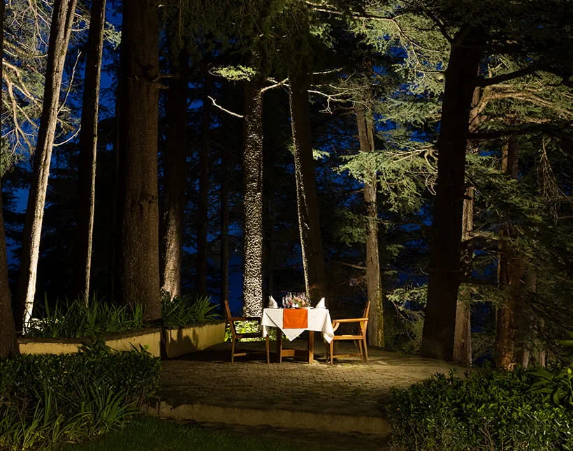 Cozy outdoor dining at The Oberoi Sukhvilas, surrounded by forest trees.